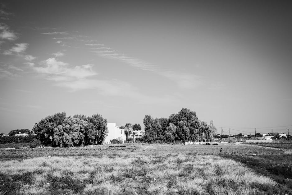 Scenic black and white rural landscape